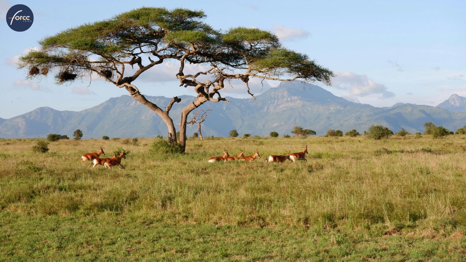 "Transforming unsuitable business systems to coherent financial packages"